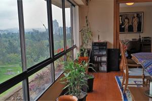 Apartment in Quito (La Carolina)