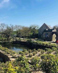 Maisons de vacances Villa Desiree:vue mer, jardin,proche des commerces : photos des chambres