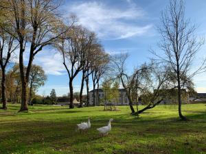 Villas Domaine d'Orgemont (Cerny) : photos des chambres