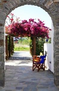 Deep Blue Studios Paros Greece