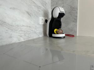 Apartment next to Sakura park and near ferry