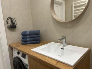 Apartment next to Sakura park and near ferry