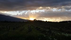 B&B / Chambres d'hotes le moulin : Chambre Double - Vue sur Montagne