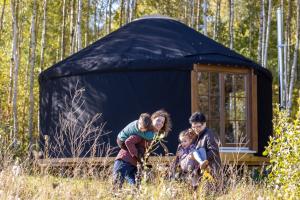 Jurta Pod Brzozami