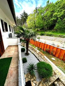 Apartments Plavčić 