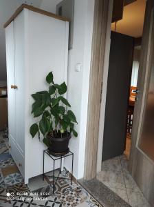 Apartman Lucia 
