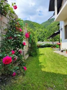 Casa de vacanta Estera Rucar