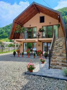 Casa de vacanta Estera Rucar - 萨提克