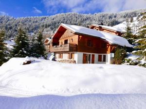 Chalets Chalet L'oreade : photos des chambres