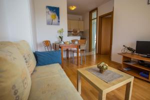 Apartman Vlado