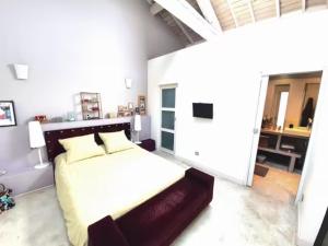 La Nomade - Maison contemporaine avec piscine - Toulouse