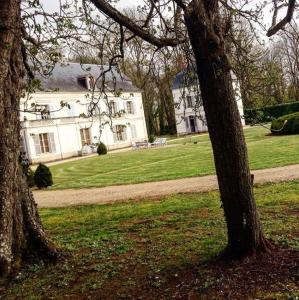 Maisons de vacances Le domaine de Champvallon : photos des chambres