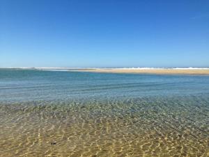 Maisons de vacances BEACH HOUSE DE CHARME A MESSANGES. LA MAISON BLEUE : photos des chambres