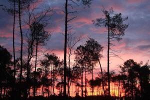 Maisons de vacances BEACH HOUSE DE CHARME A MESSANGES. LA MAISON BLEUE : photos des chambres