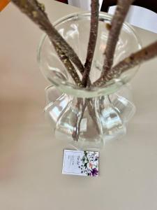 Casa Mare e Sole IUN R2610 img22