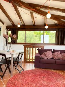 Casa Mare e Sole IUN R2610 img19