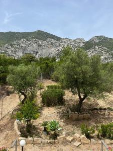 Casa Mare e Sole IUN R2610 img63