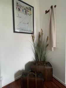 B&B / Chambres d'hotes Les Hortensias : photos des chambres