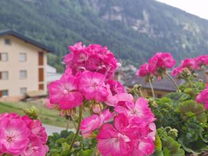 Sunnuhubil Leukerbad