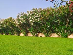 Home on Sardinia beach img31