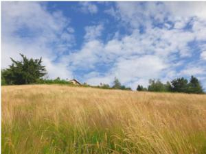 Chalets Chalet En Pleine Nature Vogienne : photos des chambres