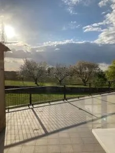 View on Saint Emilion - Bossugan