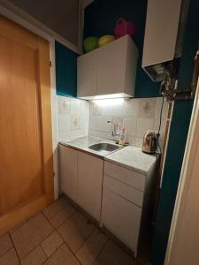 Petrol Pack dog-friendly apartment