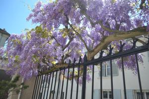 B&B / Chambres d'hotes Wisteria : photos des chambres