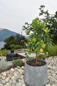 Grandin Holidayhouse