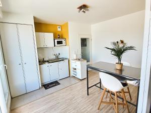 Appartements Le 2neuf - Magnifique T1bis - Grande terrasse : photos des chambres