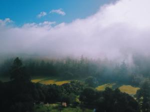 The Land - Luxury Retreat Center In Beautiful Nature - Bay Area Northern California