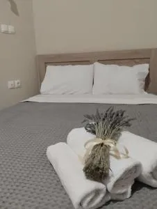 Δ5-Τα διαμερίσματα του δασκάλου - Katsímbalis