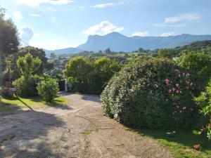 Appartements Gites A Gravona : photos des chambres