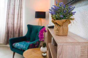 Apartment Alice Central Luxe