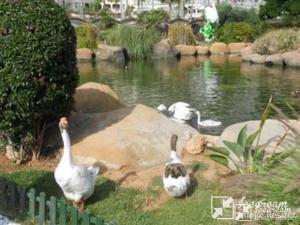 Apartamento 1ª linea en Magic World Oropesa del Mar