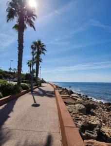 Appartements jardin plage avec 2 paddles, du calme et de l'ombre : photos des chambres