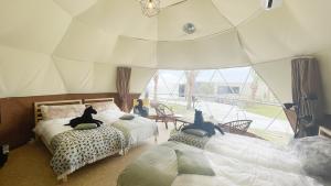amazing view room 2 - Vacation STAY 66289v