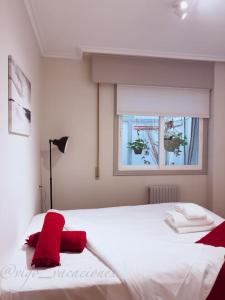 Ecuador30 By Vigovacaciones