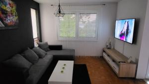 Apartment Davor 
