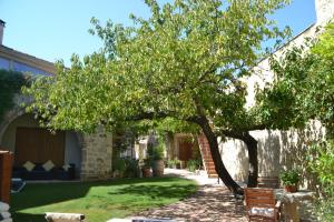 Appartements Holidays in Lagrasse : photos des chambres