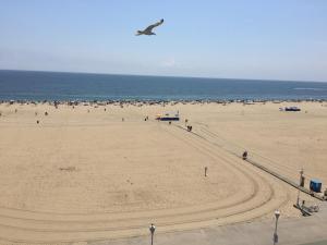 Direct oceanfront on the boardwalk at 1st Street, kitchen, pool, gym, parking