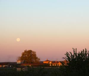 Maisons d'hotes Chateau Trillon : photos des chambres