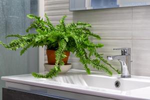 Villa Tonnare direttamente sul mare img44