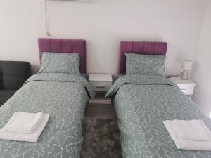 Studio apartmani Banja Koviljaca