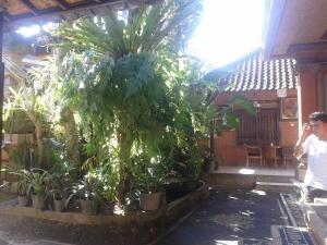 Tiêu chuẩn giường đôi hoặc 2 giường (Standard Double or Twin)