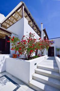 Kalidon Hotel Samos Greece
