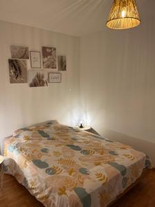 Appartements Confort & style dans ce joli appartement de 44 m2, chambre separee, PLEIN CENTRE de Dole : photos des chambres