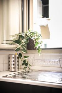 Domus Colosseum by JFM - Cozy apartment nearby Colosseum