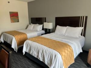 Queen Room with Two Queen Beds - Non-Smoking room in American Inn and Suites Houghton Lake