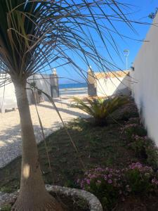 Appartamento MARE in Villa Giulia sul Mare